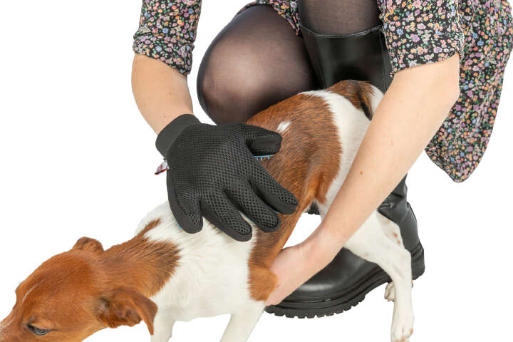TRIXIE Fellpflege-Handschuh
